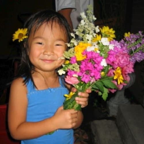 Forest Of Flowers Oakville On Canada Best Flower Site